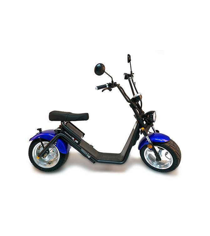 CityTwister 3.0 Elektro Roller Cruzer blau glänzend CityTwister 3.0 Elektro Roller Cruzer blau glänzend